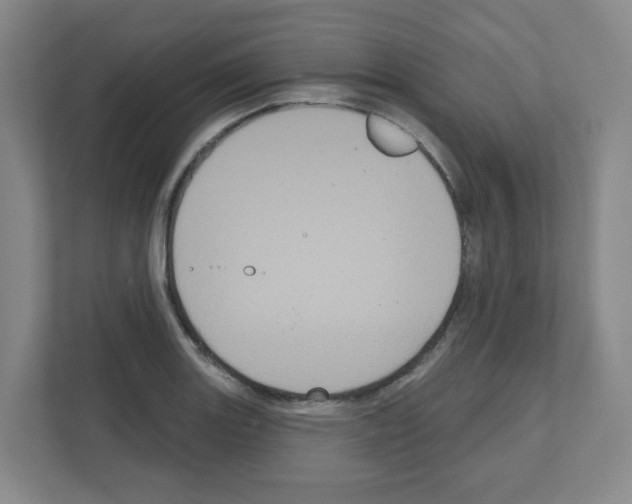X0000111161131200908111148