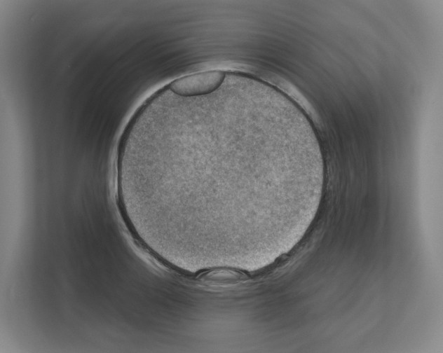 X0000111161132200908111148