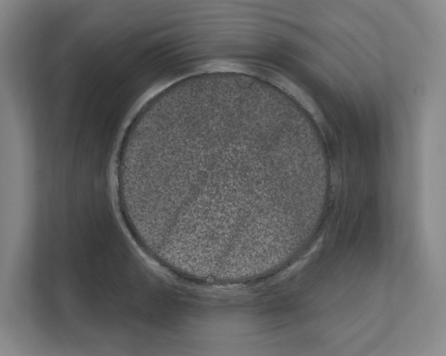 X0000111161133200908111148