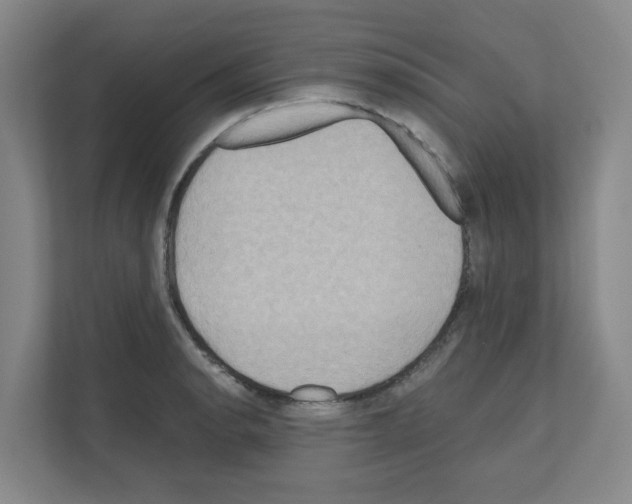 X0000111161134200908111148