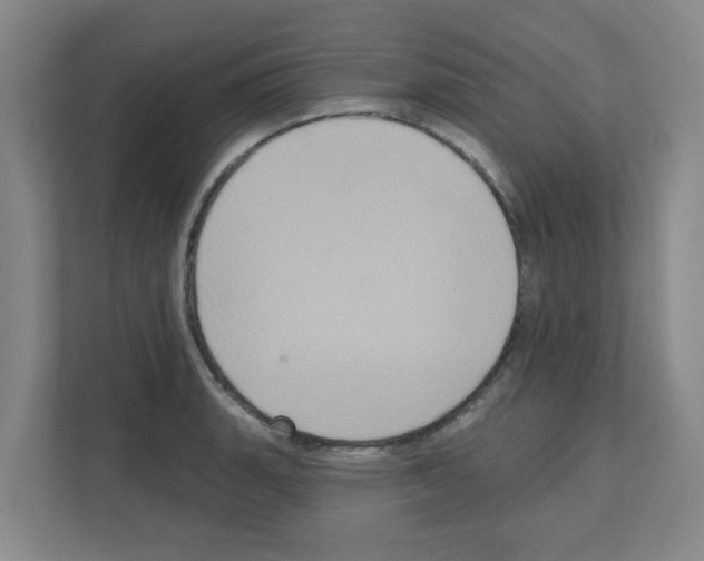 X0000111161135200908111148