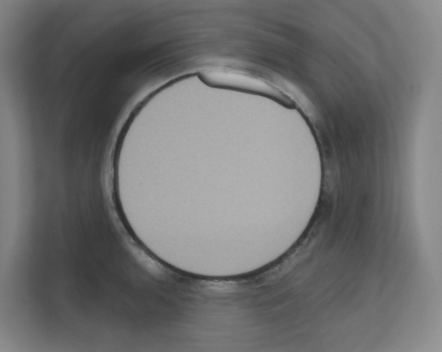 X0000111161136200908111148