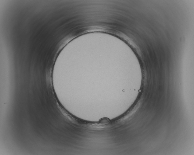 X0000111161137200908111148