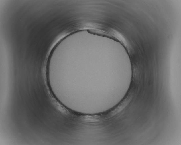 X0000111161138200908111148