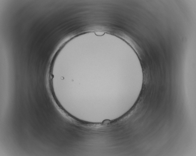 X0000111161139200908111149