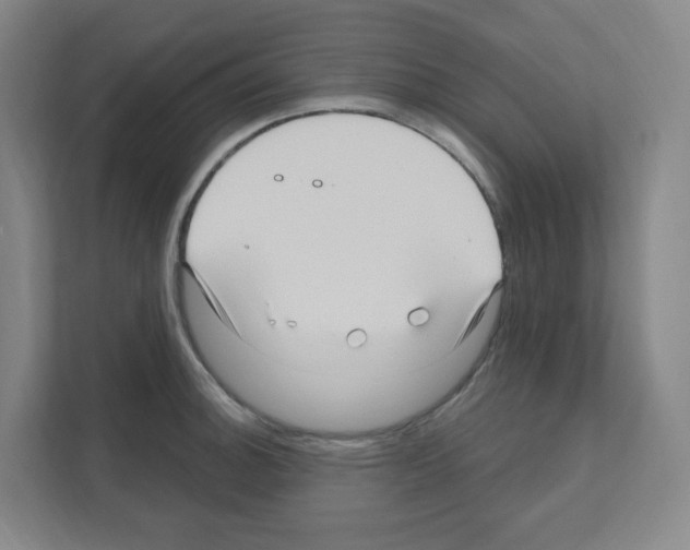 X0000111161140200908111149