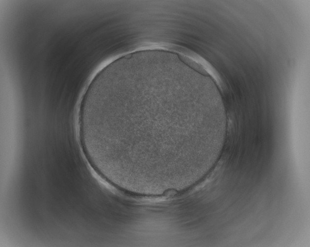 X0000111161143200908111149