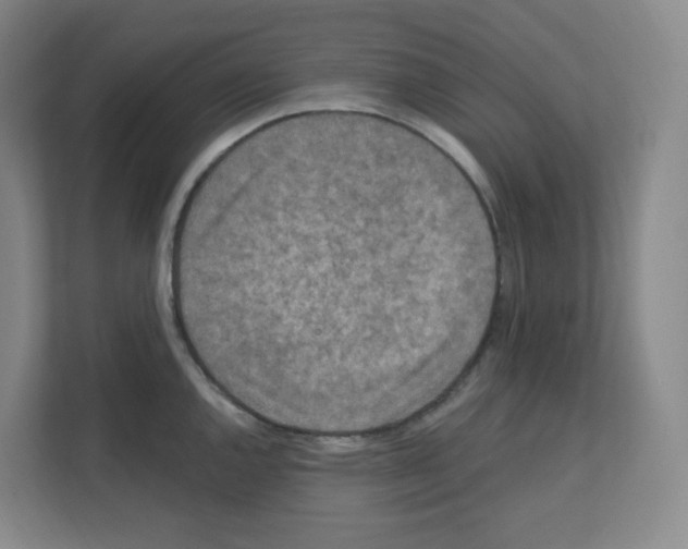 X0000111161144200908111149