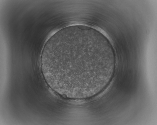 X0000111161145200908111149