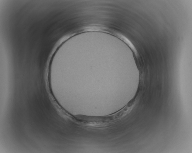 X0000111161146200908111149