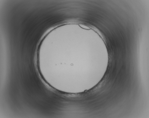 X0000111161147200908111149