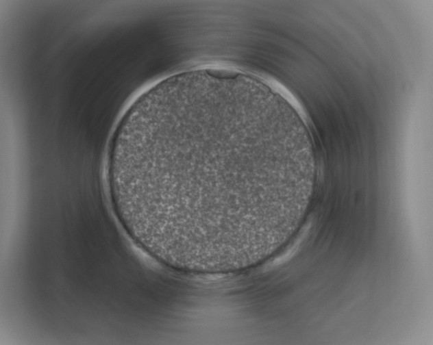 X0000111161149200908111149
