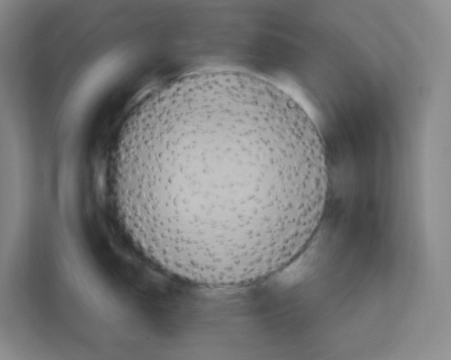 X0000111161150200908111149