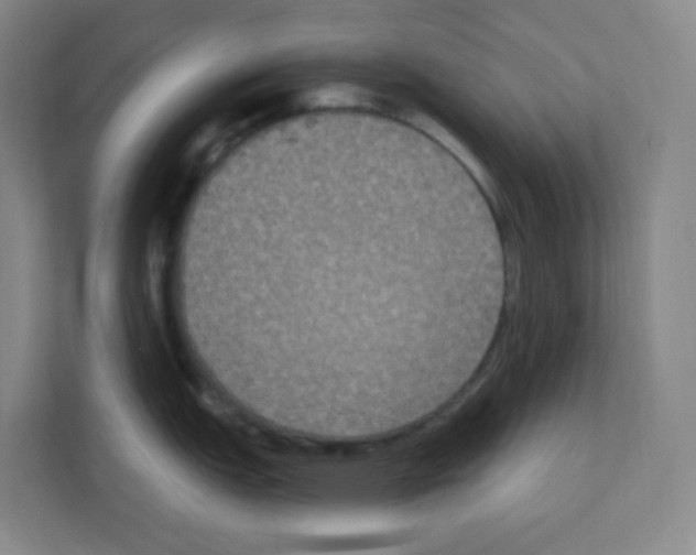 X0000111161151200908111149