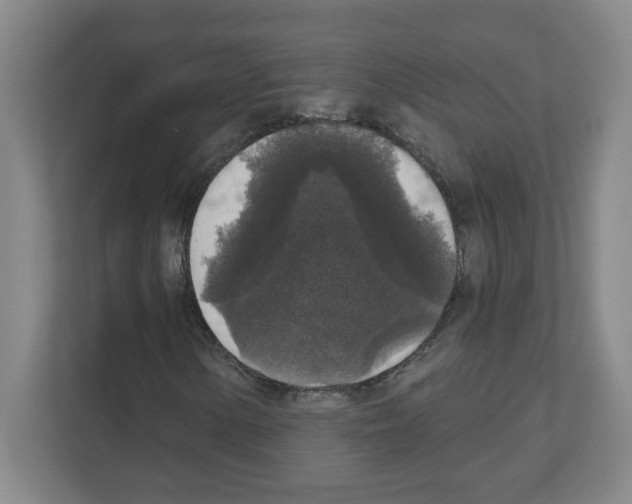 X0000111161154200908111148