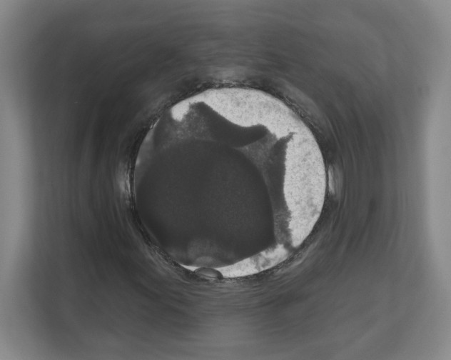 X0000111161155200908111148
