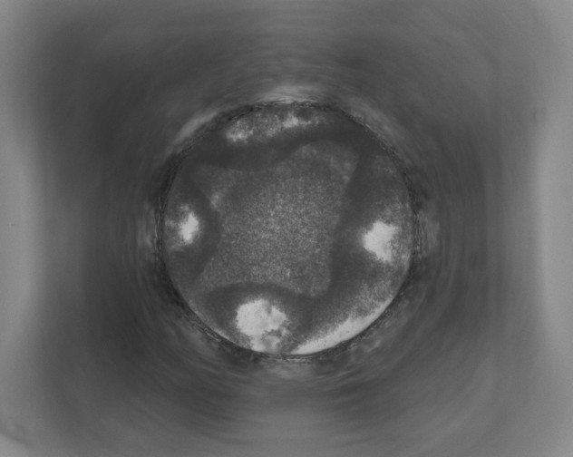 X0000111161158200908111148