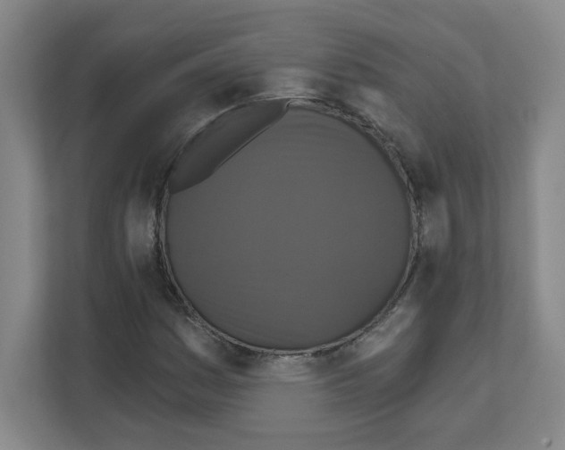 X0000111161161200908111148
