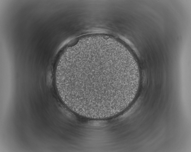 X0000111161163200908111148