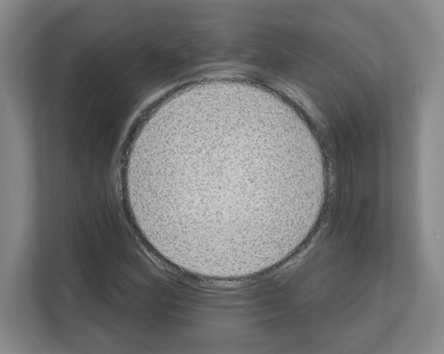 X0000111161164200908111148