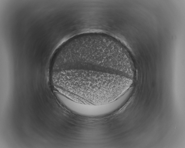 X0000111161165200908111148