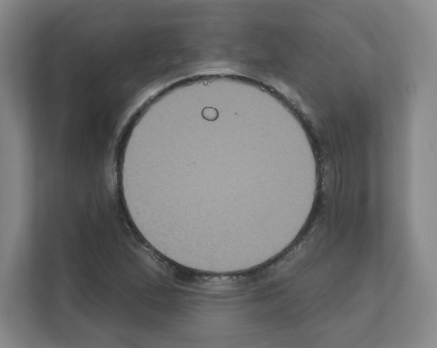 X0000111161167200908111148