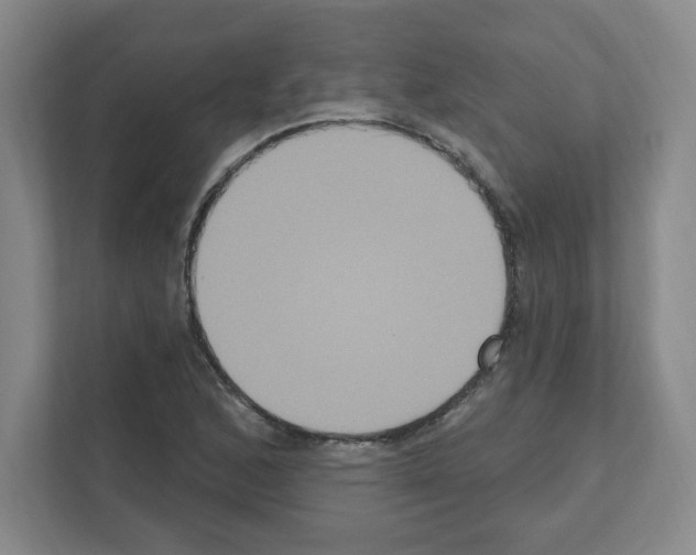 X0000111161168200908111148