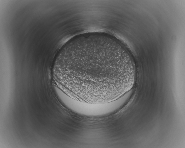 X0000111161169200908111148
