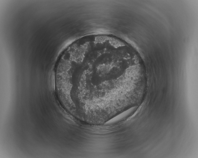 X0000111161171200908111148