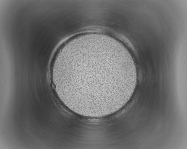 X0000111161172200908111148
