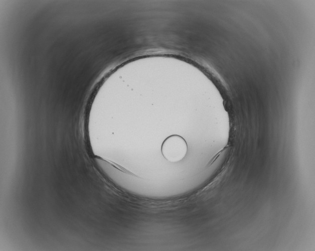X0000111161173200908111148