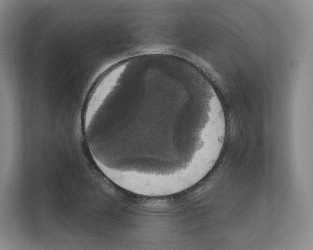 X0000111161174200908111148