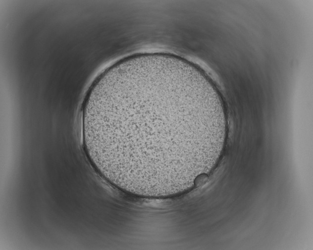 X0000111161175200908111148