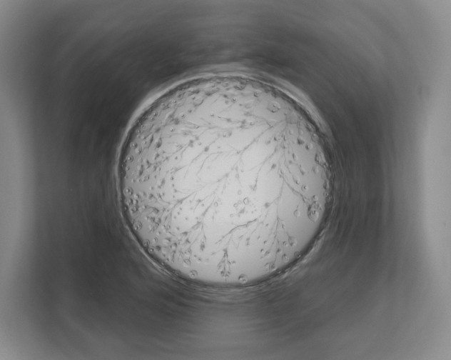 X0000111161176200908111148
