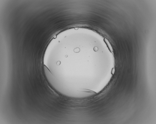 X0000111161177200908111148