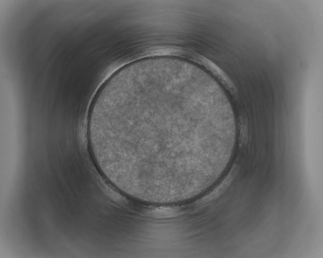 X0000111161178200908111148