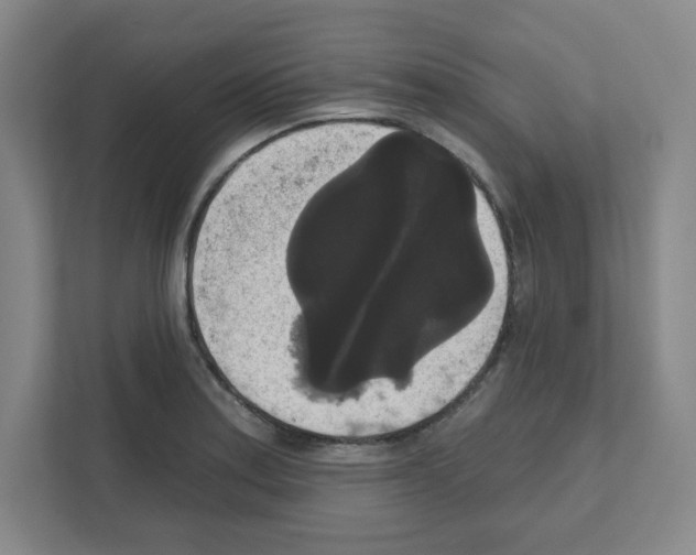 X0000111161179200908111148