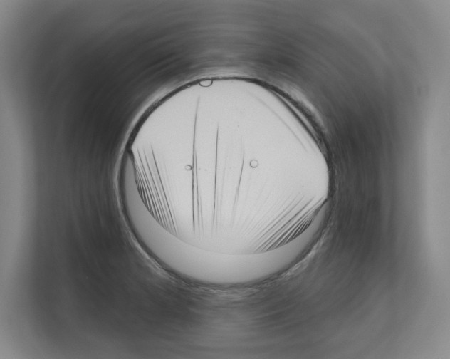 X0000111161181200908111148