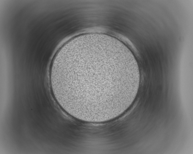 X0000111161184200908111148