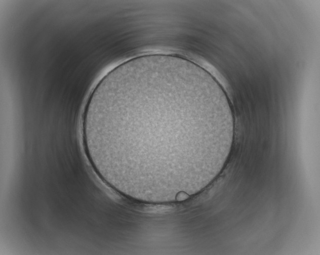 X0000111161187200908111148