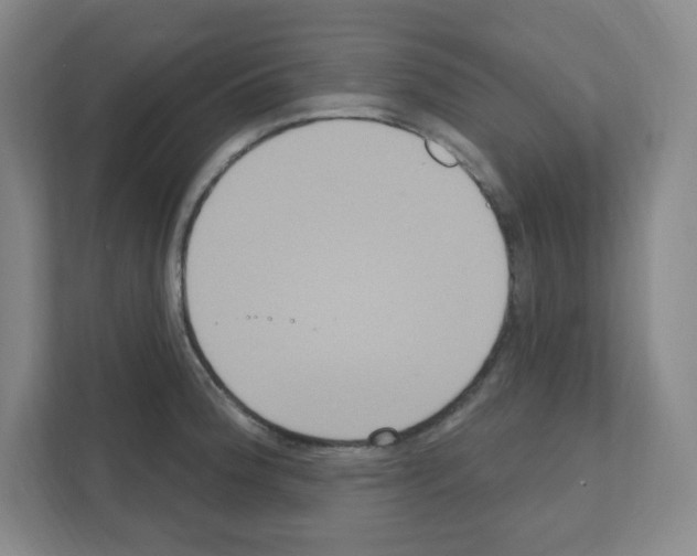 X0000111161188200908111148