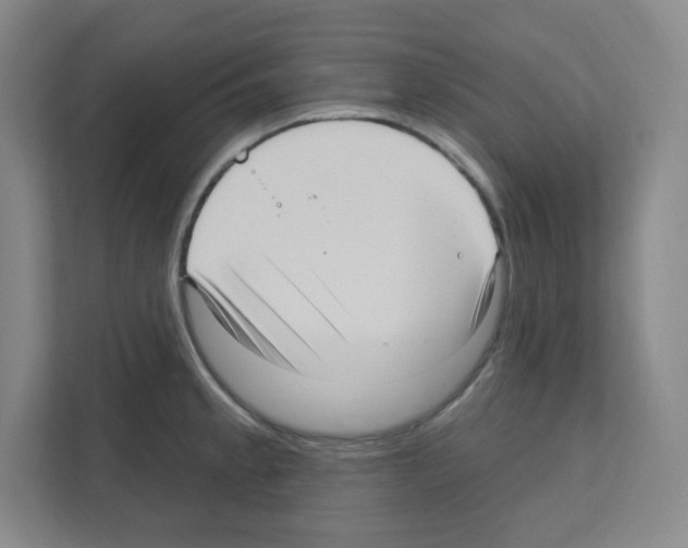 X0000111161189200908111148