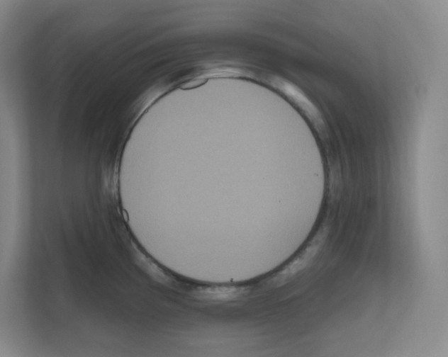 X0000111161193200908111148