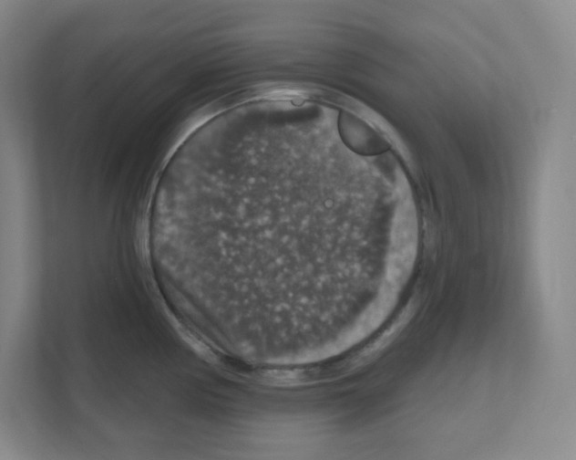 X0000111161194200908111148