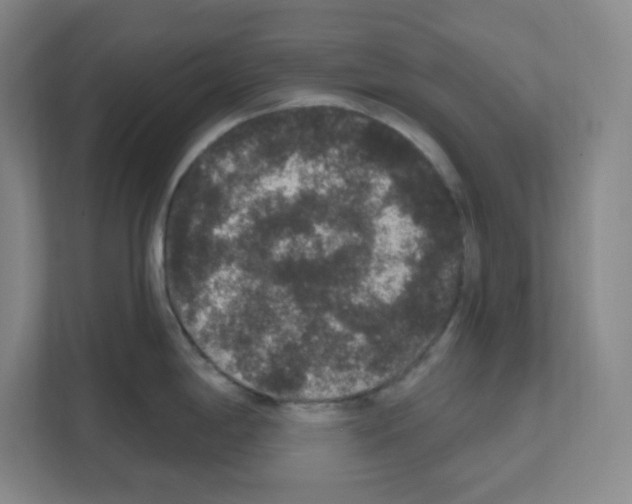 X0000111161198200908111147