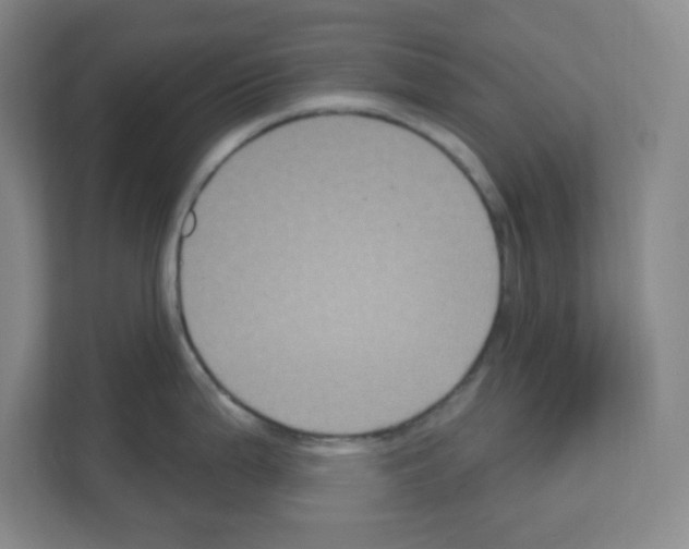 X0000111161199200908111147