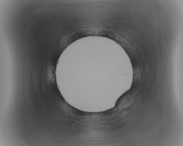 X0000111161202200908111147