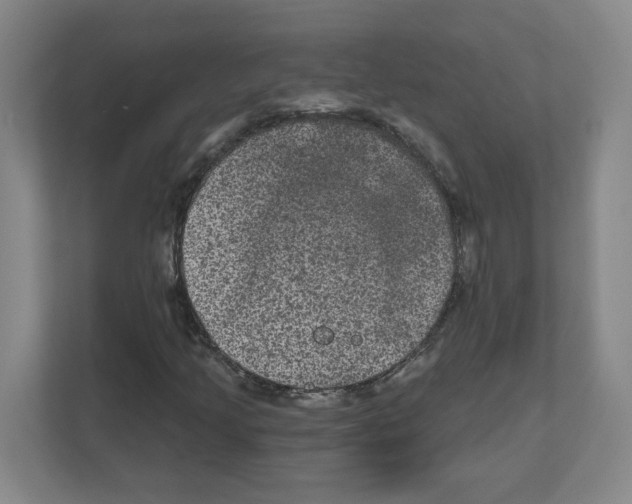 X0000111161205200908111147