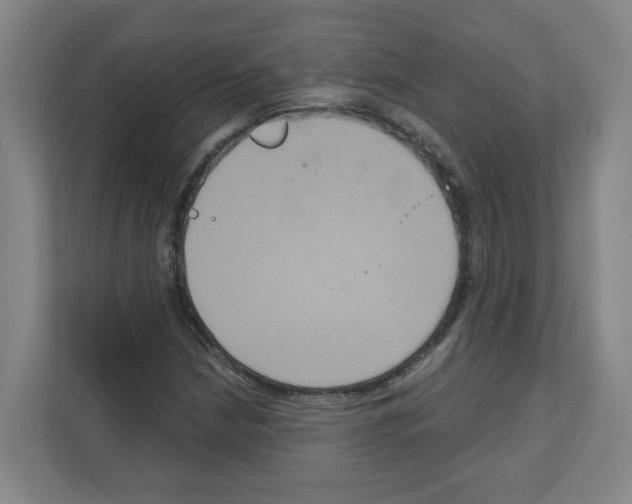 X0000111161210200908111147