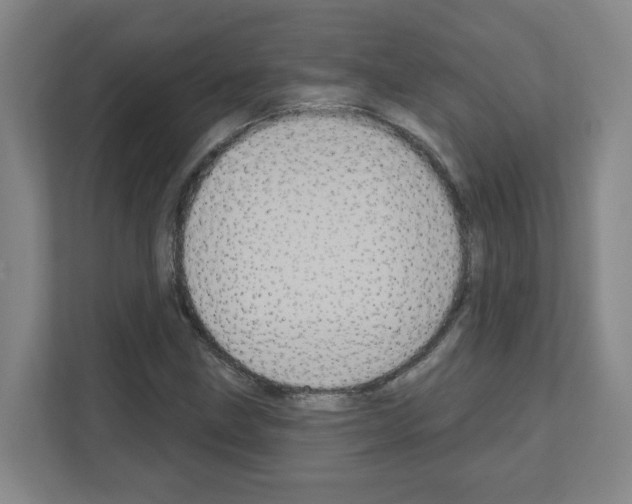 X0000111161211200908111147